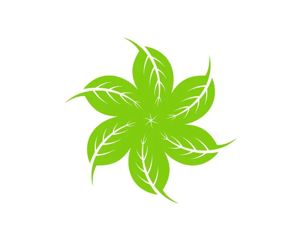 Циркулярный Лист Природы Зеленых Цветах — стоковый вектор