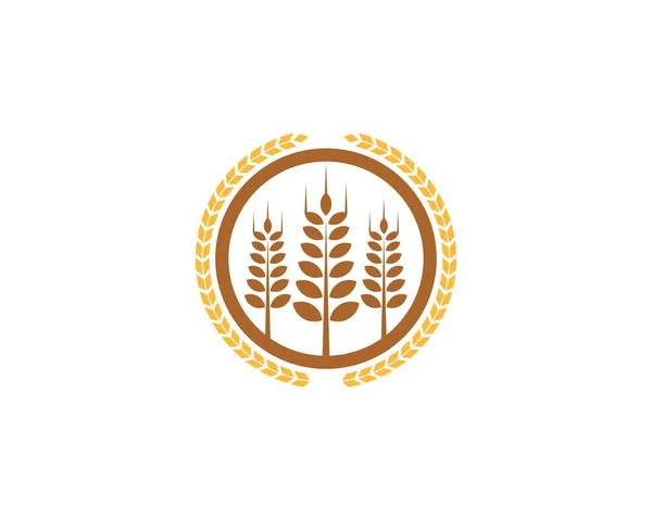 Пшениця Всередині Логотипу Кола — стоковий вектор