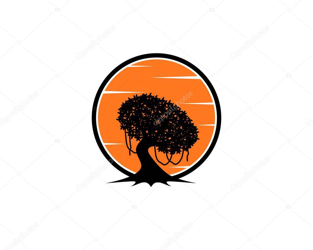 Oaks tree on the sunset view logo