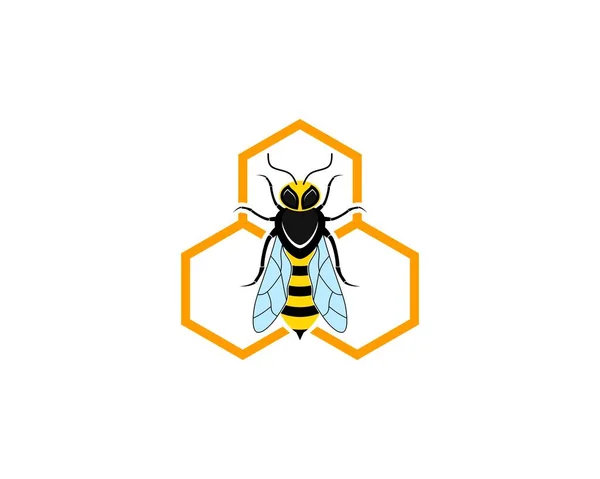 Μέλισσα Στο Εξάγωνο Κυψέλη Εικονογράφηση Λογότυπο — Διανυσματικό Αρχείο