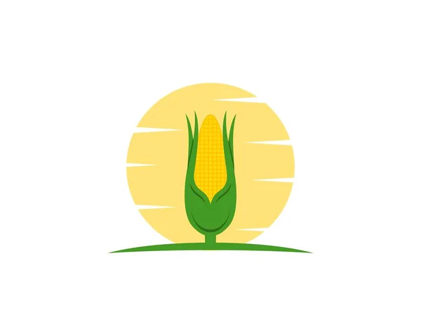 Kukurydza Logo Ilustracji Wschodu Słońca — Wektor stockowy