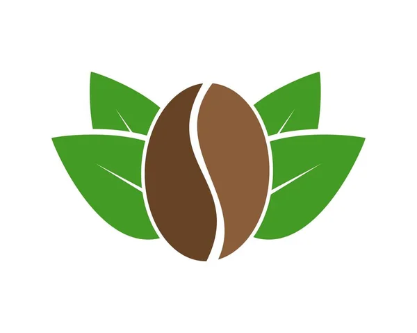 里面有咖啡豆的叶子 — 图库矢量图片
