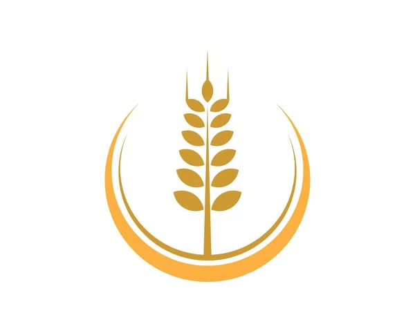 Коло Формою Пшениці Всередині — стоковий вектор