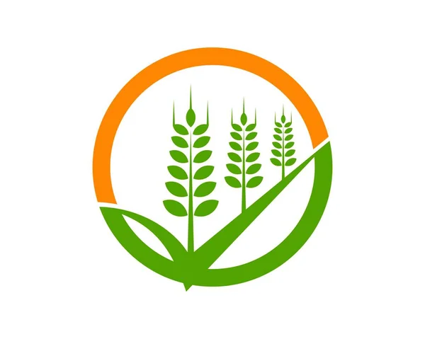 Коло Перевіркою Пшениці Всередині — стоковий вектор