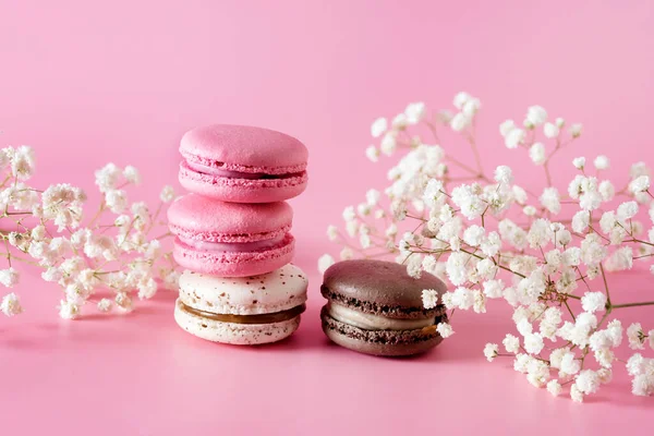 French Colorful Macarons Colorful Pastel Macarons Pink Background White Pink — Photo