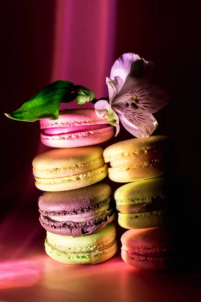 Dark Photo Stack Delicious Homemade French Macarons Pink Background Modern — Stock Photo, Image