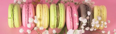 Macarons of Different Color on Pink Background Flower Long Top View