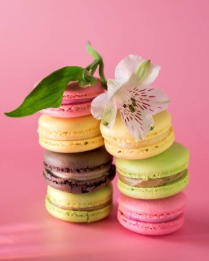 Macaron Yığını ya da Macaroon Modern Fransız Kurabiyesi Pembe Arkaplanda Beyaz Çiçekler Pastel Renkleri Dikey