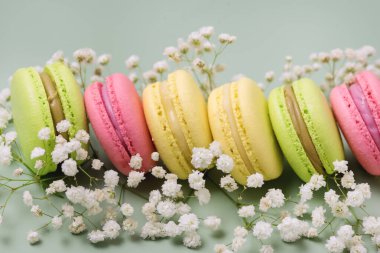 Yeşil Arkaplan Yatay Çiçekli Renkli Makarunları Kapat