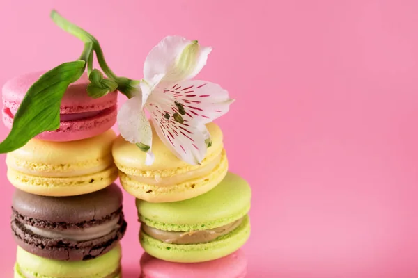 Fermer Macarons Colorés Avec Fleur Sur Fond Rose Espace Copie — Photo