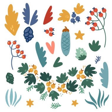 Noel dalları, böğürtlenler, yapraklar. Bileşim yaratmak için doğal bitki elementleri. Beyaz arka planda izole edilmiş nesneler. Basit şirin stil.