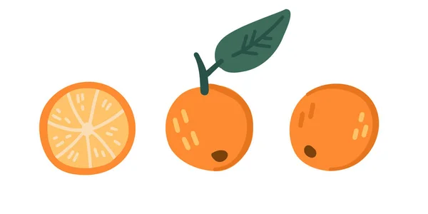 Mandarin Narancs Citrus Illusztrációi Tárgyak Elkülönítve Fehér Háttérrel Egyszerű Aranyos — Stock Vector