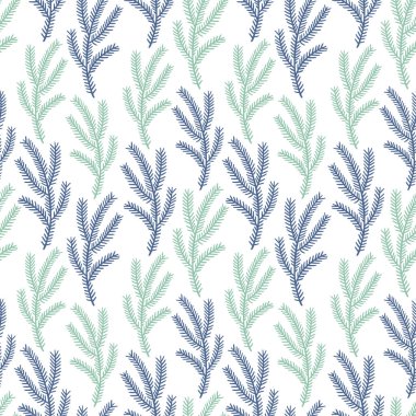 Köknar dallarının pürüzsüz bir deseni. Kış tatili ve doğal botanik amaçlar için uygun. Nesneler beyaz bir arkaplanda yer almaktadır.
