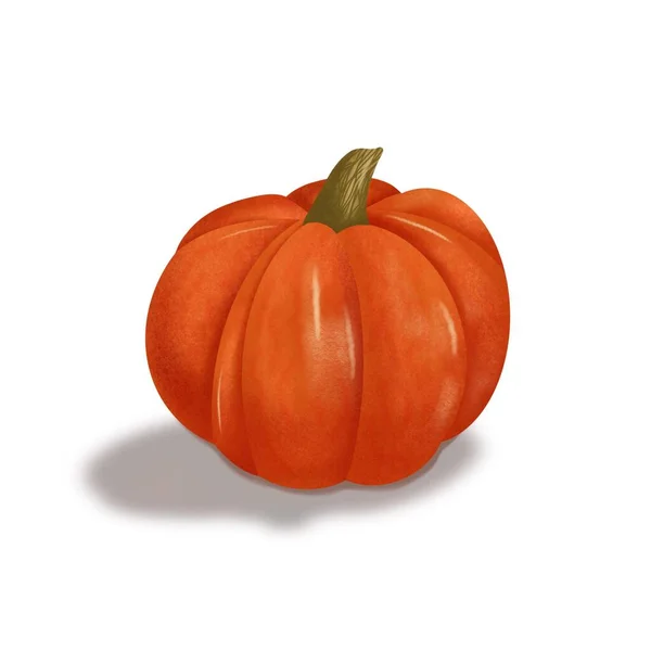 Orange Pumpkin Halloween Illustration Autumn Vegetables White Background — Stock Photo, Image