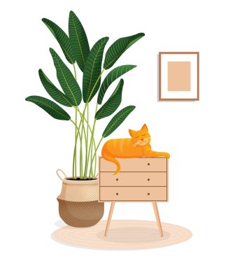 Sevimli kızıl kedi çekmecelerin üzerinde oturuyor. Oturma odasında hayvan, incir ağacı ve dekorasyon var. İnsansız bir odanın vektör çizimi