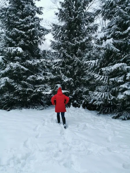 Kış Ormanındaki Kız — Stok fotoğraf