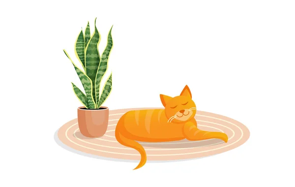 Ginger Cute Cat Lies Cozy Carpet Vector Cartoon Illustration — Stock Vector