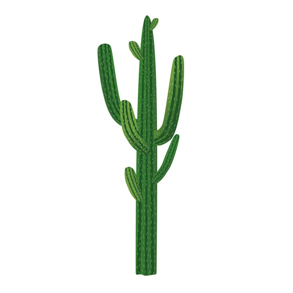 Cactus Pour Plantes Intérieur Illustration Vectorielle Des Plantes Des Fleurs — Image vectorielle