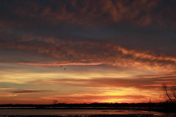 Loess Bluffs National Wildlife Refuge Sunset Many Snow Geese Flying — Stock Photo, Image