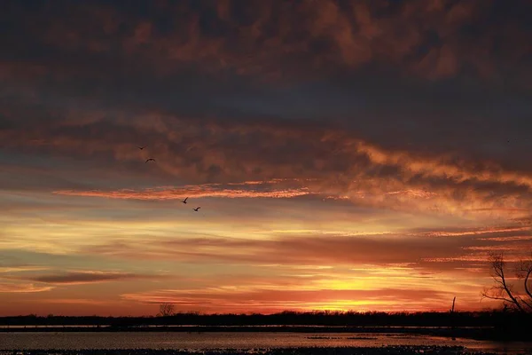 Loess Bluffs National Wildlife Refuge Coucher Soleil Avec Nombreuses Oies — Photo