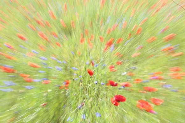 Floral abstract with motion blur