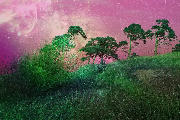Fantastische Nächtliche Landschaft Surreale Aussicht Mit Mond Gras Und Büschen — Stockfoto