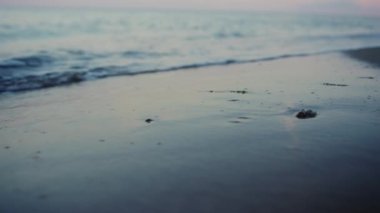 Akşam kıyısı kapanıyor. Yakın çekim, sakin okyanus dalgaları kumlu sahile vuruyor.