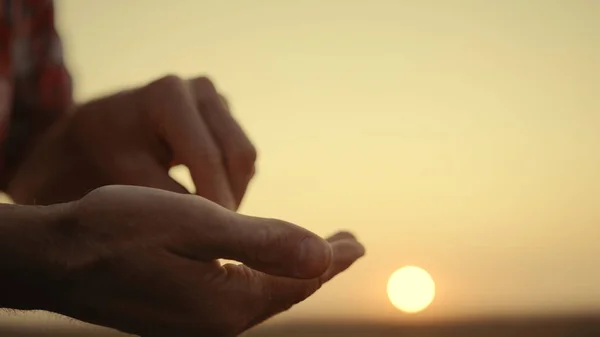 Férfi gazda kezét, hogy a minőség-ellenőrzés búza magok közeli napkelte mező. — Stock Fotó