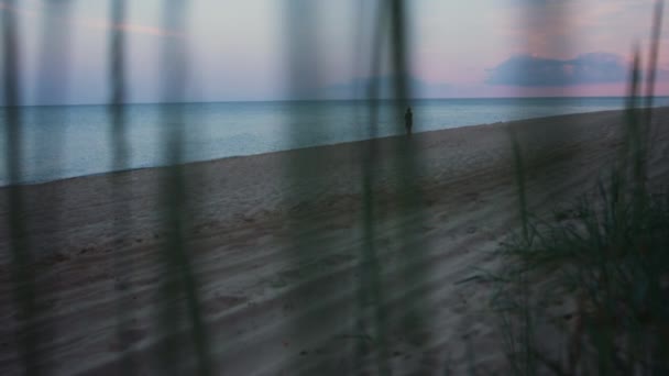 Silhouette femme marchant plage de sable à froid matin lever du soleil crépuscule. Seule fille — Video