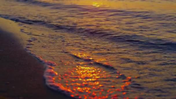 Air laut hangat percikan pasir gelap pantai di matahari terbenam emas malam. Gelombang laut — Stok Video