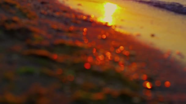 Sol ljus reflektion i havet vågor stänk gyllene sand kust vid solnedgången kväll — Stockvideo