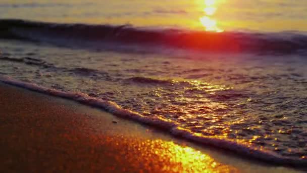 Nahaufnahme Meereswellen brechen Abend Küste in Zeitlupe. Sonnenlicht reflektiert — Stockvideo