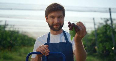 Başarılı bir çiftçi. Doğal, modern yaz tarlalarında çalışıyor..