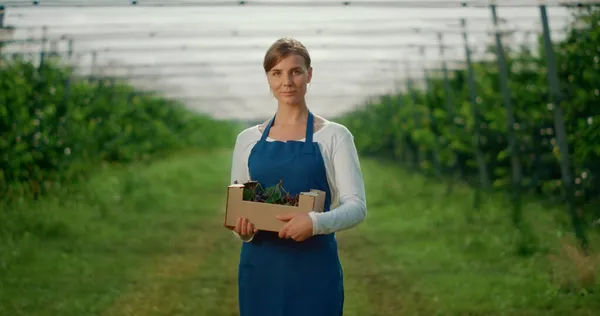 Blanke vrouwelijke boer met kersendoos op fruitplantage. Bedrijfsconcept. — Stockfoto