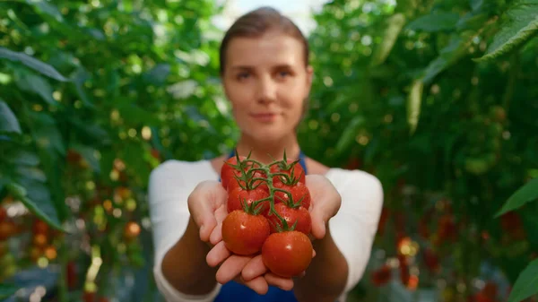 Mulher trabalhador de plantação mostrando vegetais no campo retrato de terras agrícolas — Fotografia de Stock