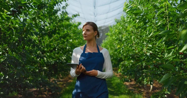 Mujer agrónoma comprobando la producción con la tableta en verde concepto eco granja — Foto de Stock