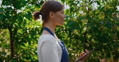 Tarımcı, tarım ürünlerini güneşli tarlalarda modern aletlerle kontrol ediyor.