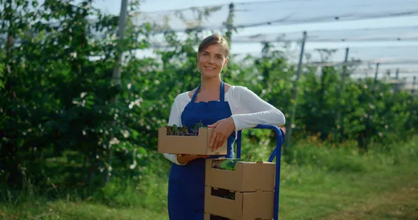 Όμορφη γυναίκα αγρότισσα που ψάχνει κάμερα κοντά σε κουτί με φρέσκα φρούτα σε αγροκτήματα. — Φωτογραφία Αρχείου