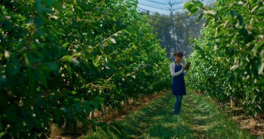 Kadın botanik uzmanı yeşil fidanlıkta ağaçların büyümesini tabletle kontrol ediyor.