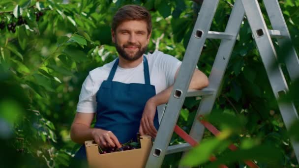 Ein Gärtner erntet lächelnd Kirschkiste im Garten. Agrarunternehmenskonzept — Stockvideo