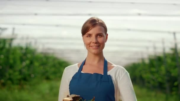 Business farmer holding box with fresh fruit at summer farm in harvest season. — Stock Video