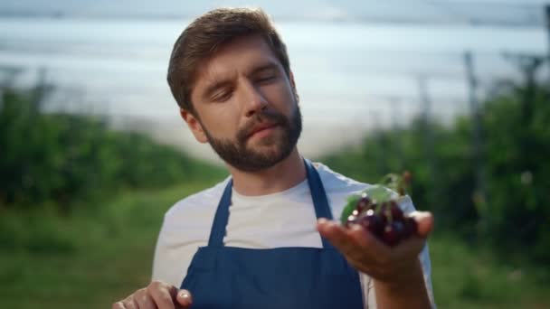 Konzentrierter Bauer, der Obst auf Sommerplantagen hält. Bauernhofkonzept. — Stockvideo