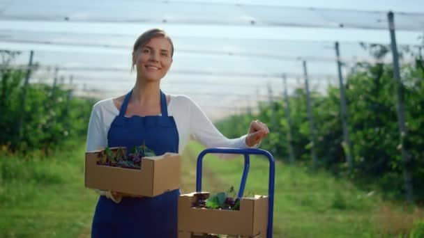 Giovane signora che tiene la scatola in agricoltura moderna serra. Concetto di fattoria estiva. — Video Stock