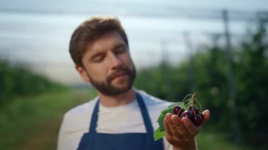 Tarım çiftliğinde kiraz tutan odaklı girişimci. Çiftlik kavramı.