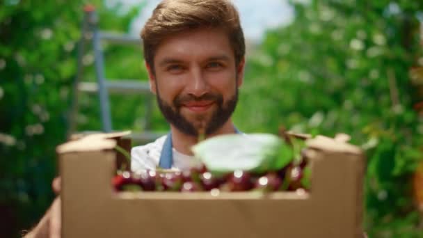 Šťastný farmář hledá fotoaparát s třešňovým ovocným košem v letní zahradě plantáže — Stock video