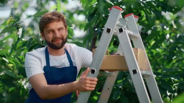 Man farmer mosolygós bogyó doboz élvezi a munkát ültetvény napsütéses meleg napon — Stock videók