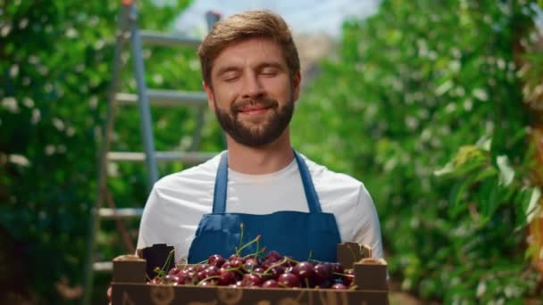 시골 농장에서 딸기 상자를 나르는 농장 노동자. 농지 개념 — 비디오