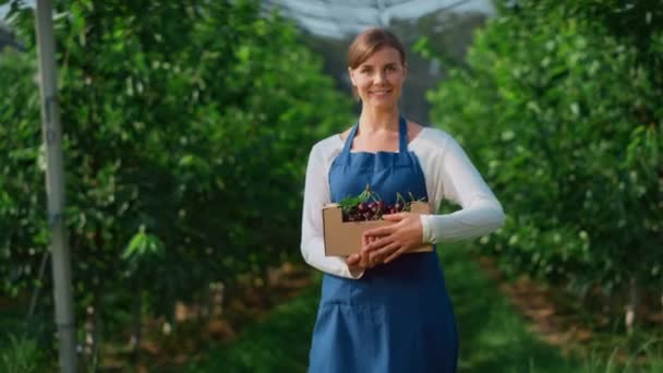 Bahçedeki kadın tarımsal organik kiraz çiftliğinde bir kutu tutuyor. Hasat konsepti. — Stok video