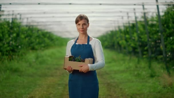 白人女农民在果树种植园拿着樱桃盒.农场概念. — 图库视频影像