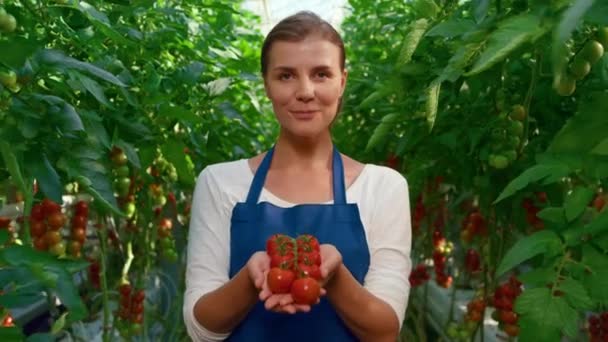 大きな温室で笑みを浮かべてトマトの収穫を示す女性農家の閉鎖 — ストック動画